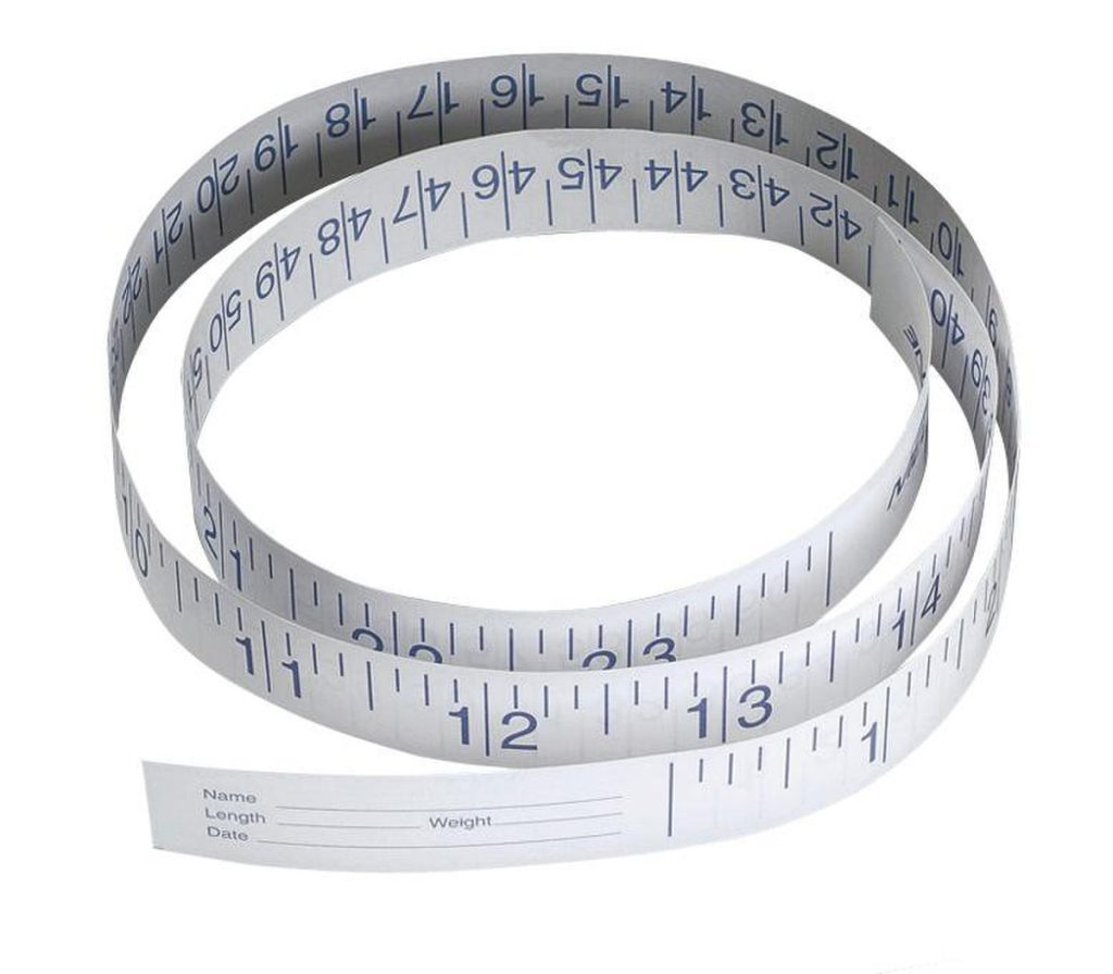 Paper 72" Measuring Tapes